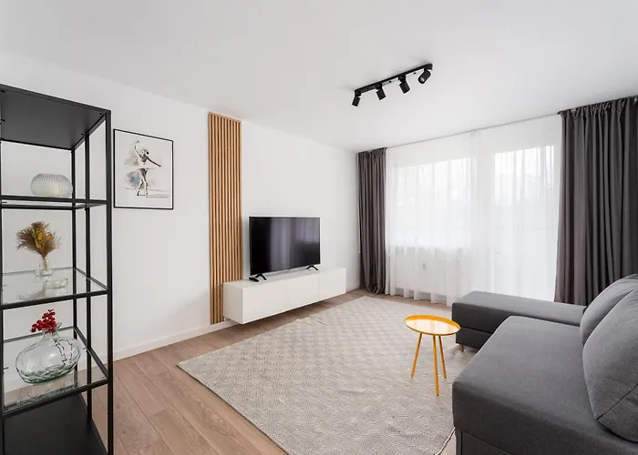 Olsza Stylish Apartment